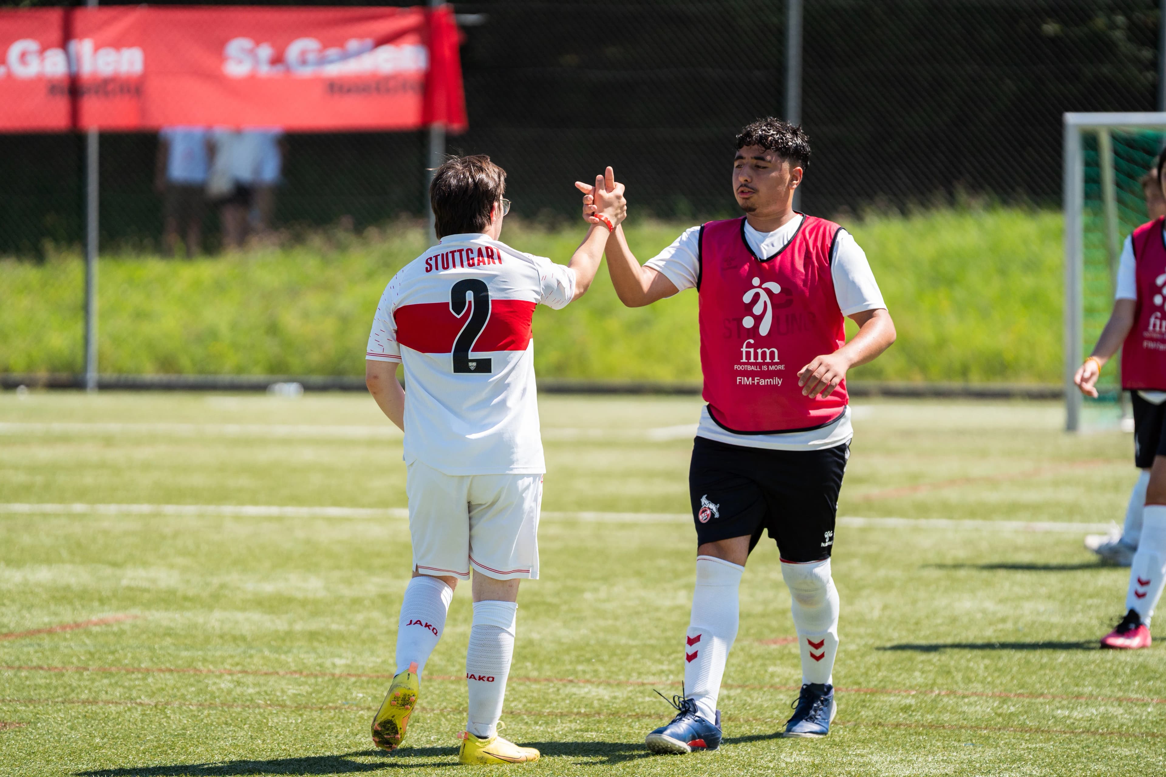 Consultancy and development cooperation in action