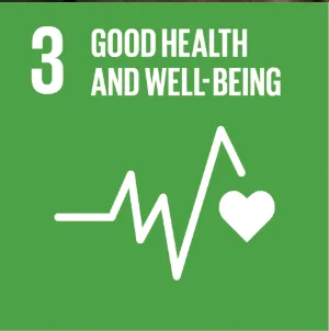 SDG 3 Good Health and Well-being